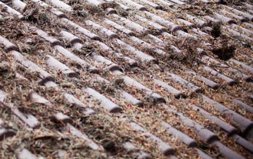 Mains Of Usan roof cleaning companies