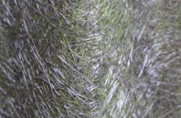 Mains Of Usan fibreglass roof work